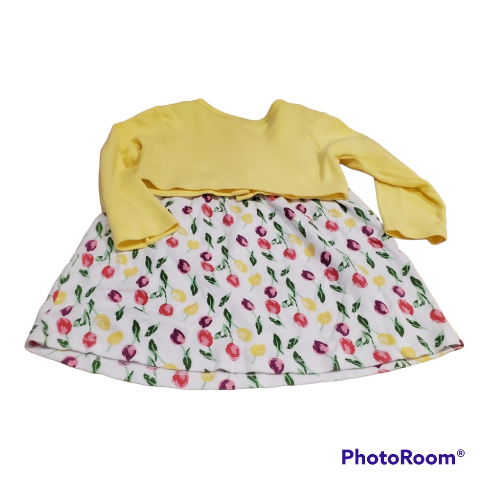 2 Piece Dress & Cardigan size 3T by Luvable Friends